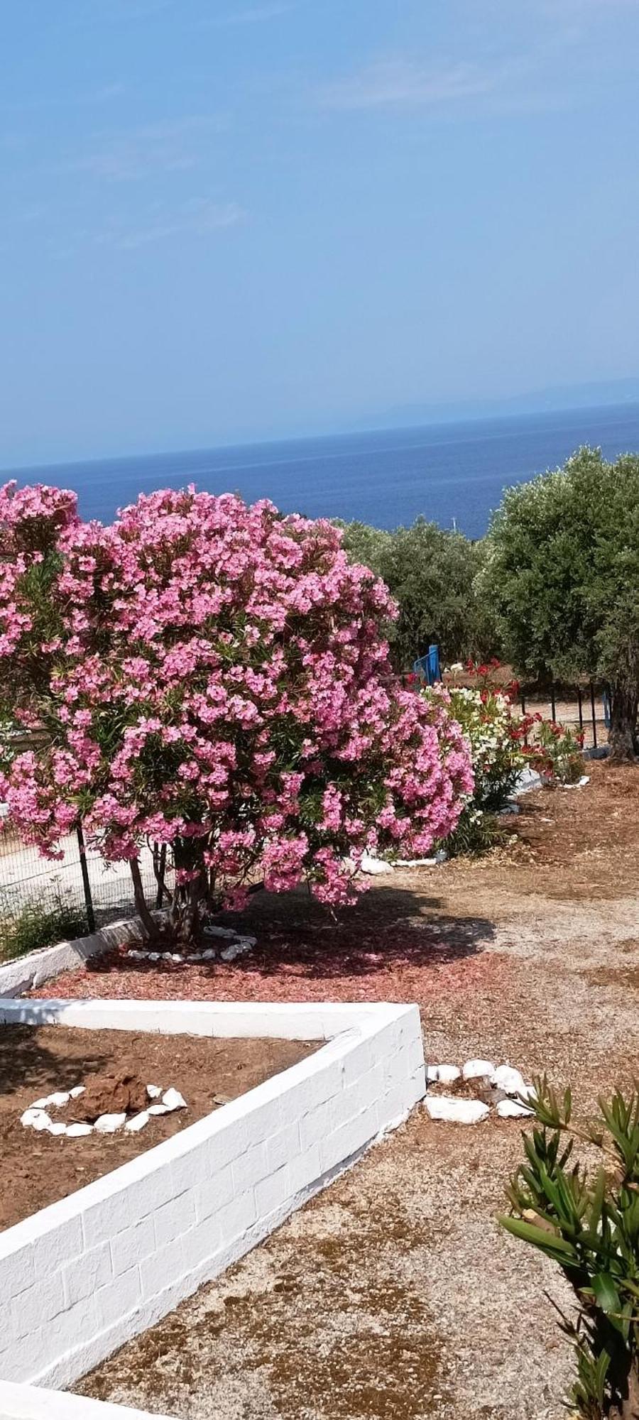 Villas Kiriaki Kallirákhi Esterno foto