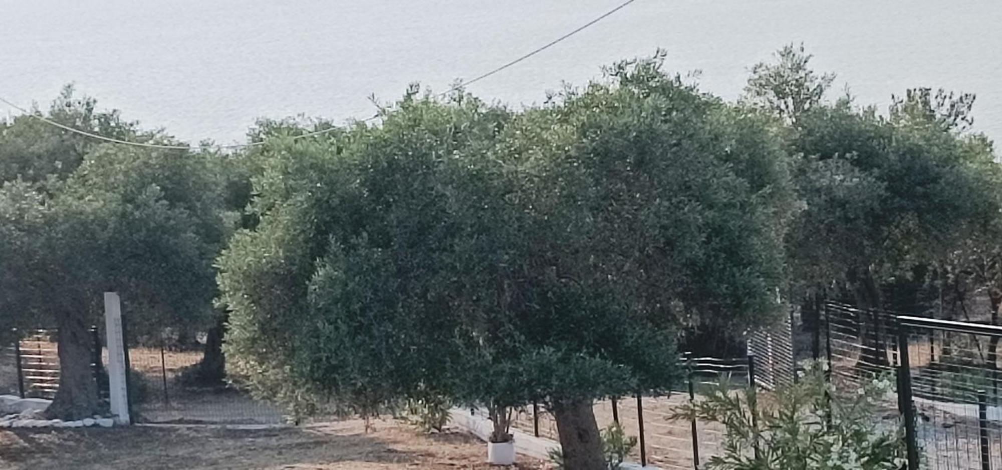 Villas Kiriaki Kallirákhi Esterno foto